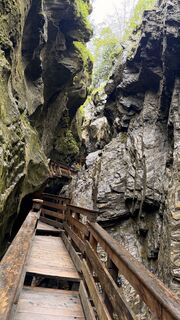 Photo de Black Pearlie le long du parcours