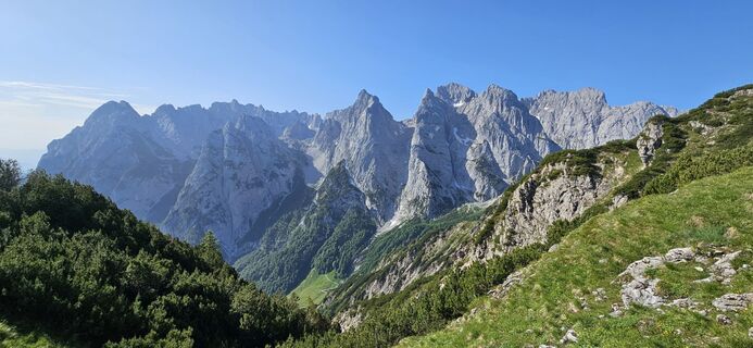 Foto da garrincha lungo il tour