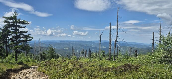 Fotografia z Anna Brudny na trase