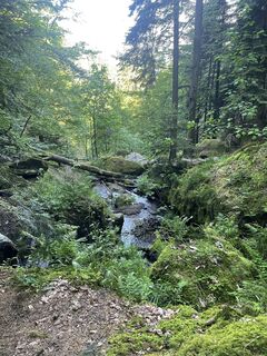 Photo de Ralf Umminger le long du parcours