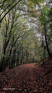 Photo de Edit Szoboszlay le long du parcours