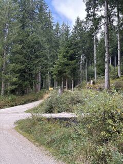 Fotografija s spletne strani Heinz Sperl na poti