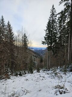 Foto von Voxy entlang der Tour