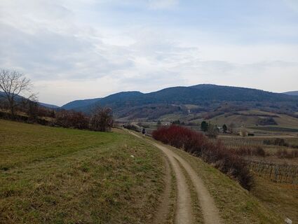 Fotografija s spletne strani Monika Jeskova na poti