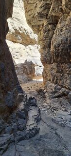 Fotografie z Zsolt Lajter na trase