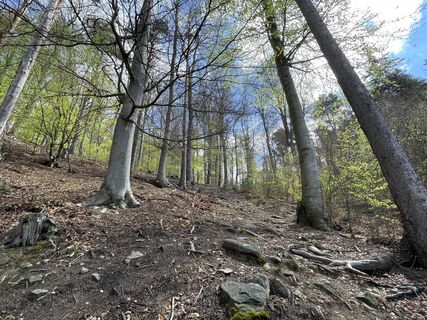 Fotografia z Gerald na trase