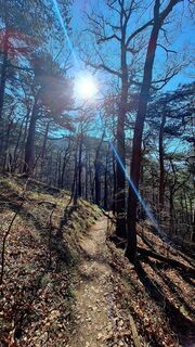 Foto von Regina Fleischmann entlang der Tour