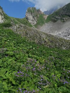 Foto von Dagmar Hofer entlang der Tour
