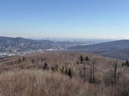 Zdjęcie z drescan wzdłuż trasy