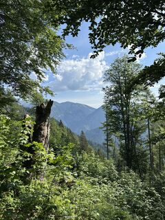 Foto von Fuchsi entlang der Tour