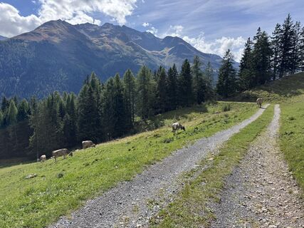 Foto von Jasper entlang der Tour