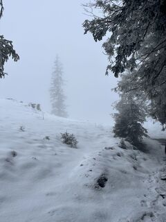 Foto von PaulipaulsensAbenteuer entlang der Tour