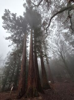 Fotografija s spletne strani Mimi na poti