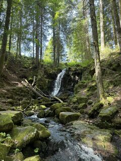 Foto von Elli Rieck entlang der Tour