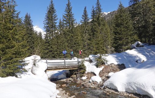 standardbild3-gehen-villgratental-schneeschuhw-c-christof-schett.jpg