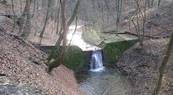 Hagenbachklamm Aufstieg nach Kirchbach