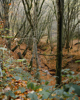 Waldretter-Trail_Herbst_HighRes-23