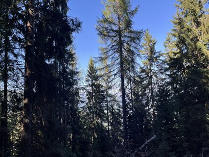 Foto da Csuti46 lungo il tour