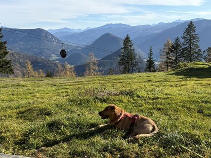 Fotó a TomBeuchel honlapról a túra során