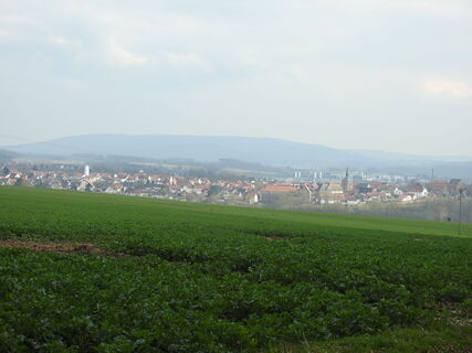 Aussicht_Hohes_Feld_BM.JPG