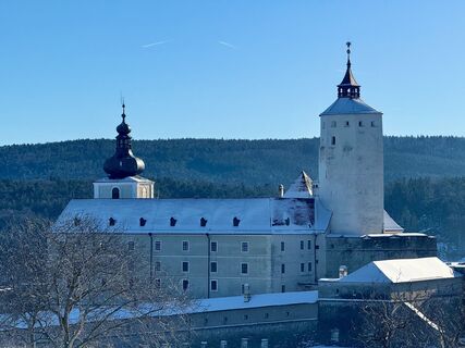 Zdjęcie z CT wzdłuż trasy