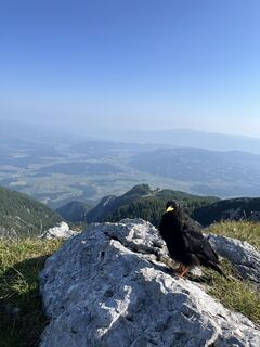 Fotografia z Sebastian Skubel na trase