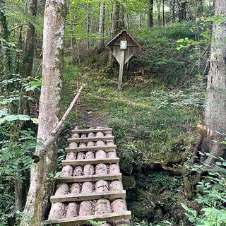 Duftkreuztrail Kleinkohlergraben