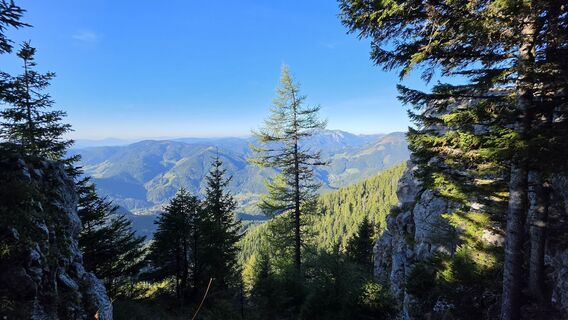 Fotografija s spletne strani EP87 na poti