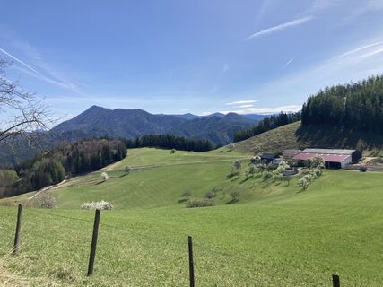 Foto von Moonytiger entlang der Tour