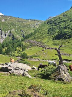 Photo de Irmi♧ le long du parcours