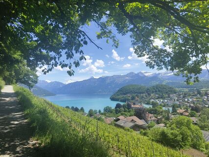 Foto fra Julie Anouscha Mona undervejs på turen