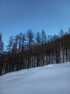 Fotografija s spletne strani Aner na poti
