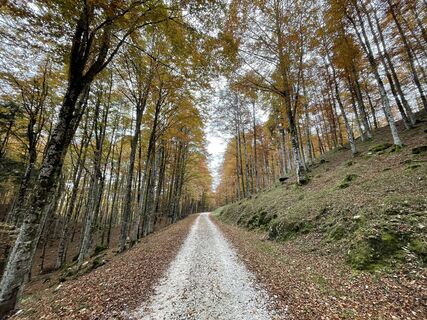 Foto von Simone Soldera entlang der Tour