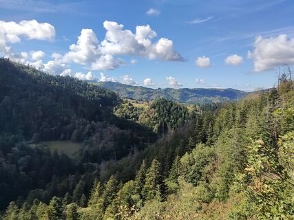 Fotografija s spletne strani Helen Weinald na poti