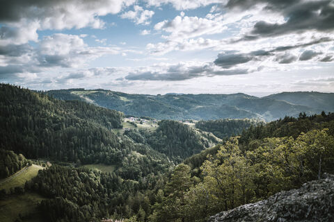 Blick von einem Berg auf Hügel mit dunkelgrünem sonnigen Wald und kleinen Dörfern