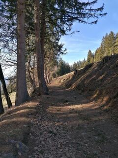 Foto von Dagmar Hofer entlang der Tour