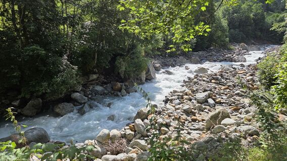 Foto da Hameister lungo il tour