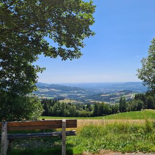 Schloffereck Aussichtpunkt Bankerl_NUP Pöllauer Tal_Oststeiermark