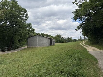 Photo de Schaali le long du parcours