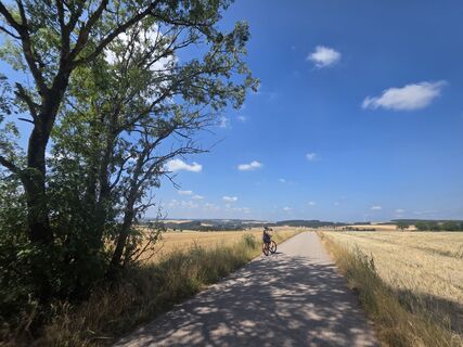 Foto de Willem Steenhuizen a lo largo del recorrido