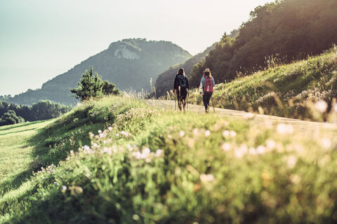 Blick zum Rosenstein