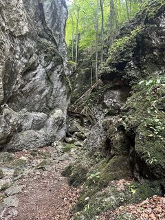 Foto da Yugpreet Birk lungo il tour