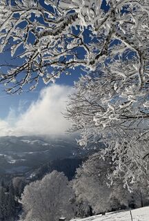 Foto von Jelena Kuehn entlang der Tour