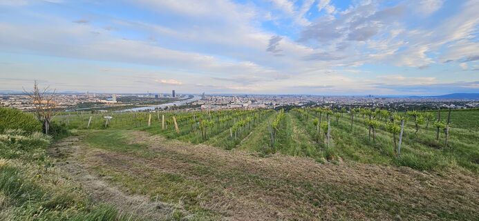 Foto da Arnold Burböck lungo il tour