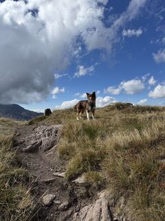 Foto von Antonia Dangl entlang der Tour