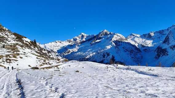 Photo de walrei le long du parcours