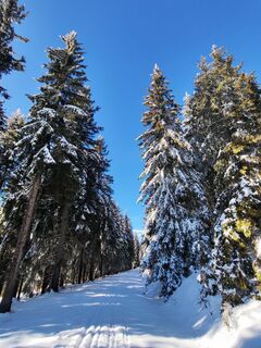 Foto de v.stein a lo largo del recorrido