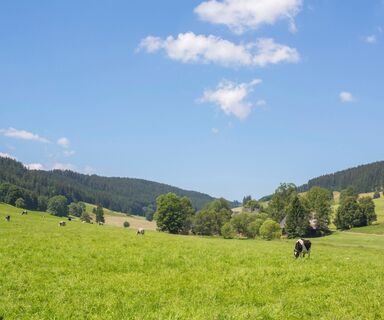 Breitnau