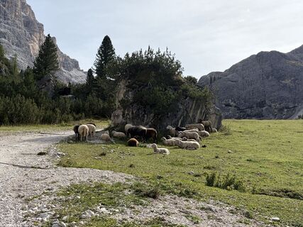 Photo de Sandra Wagemans le long du parcours