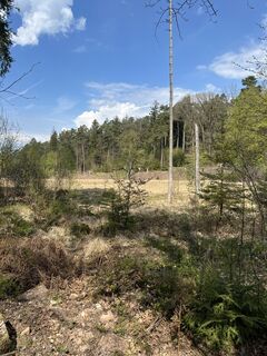 Photo de Lothar le long du parcours